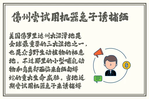 请给我奶嘴漫画下划版次元派